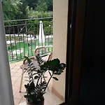 Hotel Ca' Del Bosco