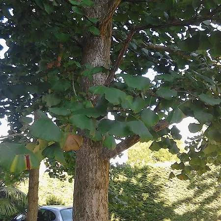 Ca' Del Bosco Budoia